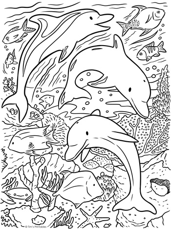 Dolphin coloring page â tims printables