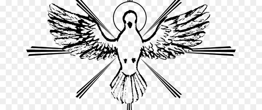 Bird line art png download