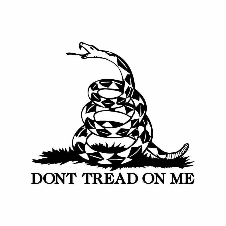 Dont tread on me art