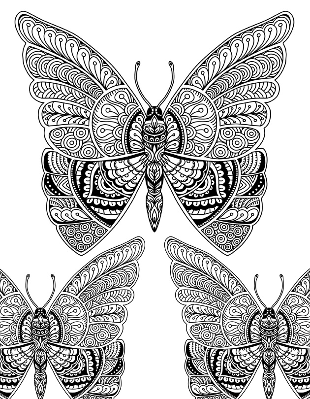 Beautiful butterfly doodle art adult coloring page karyn lewis illustration