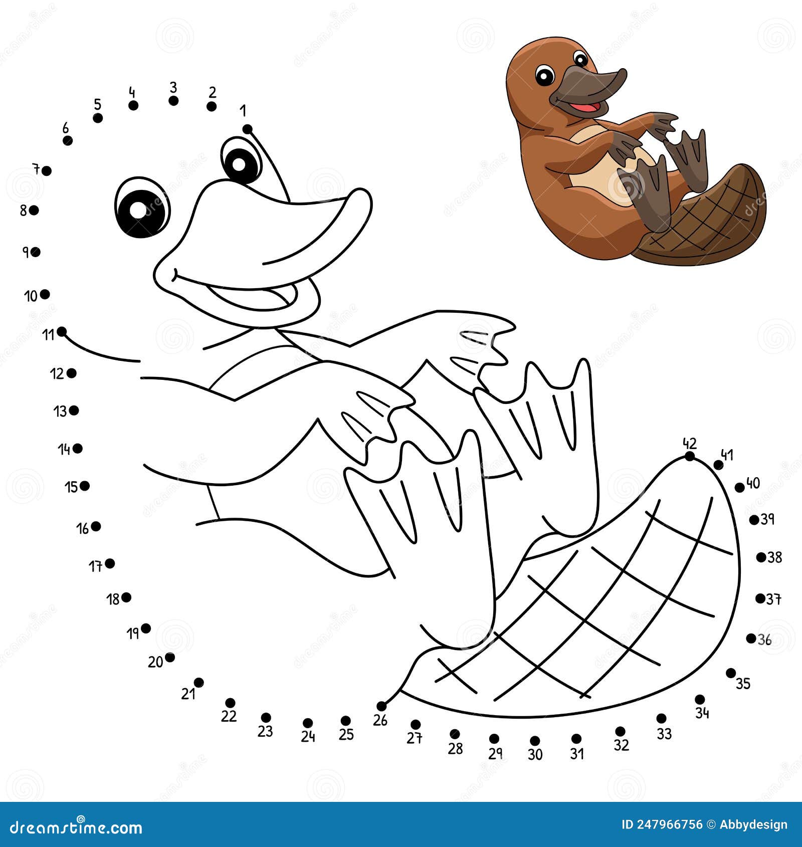 Dot to dot platypus animal coloring page for kids stock vector