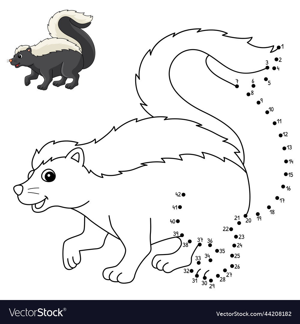 Dot to skunk animal isolated coloring page vector image
