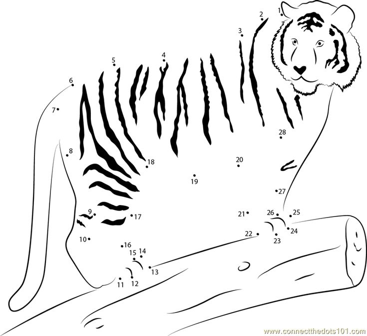 Tiger on wood connect the dots worksheet dot worksheets dots tracg pictures