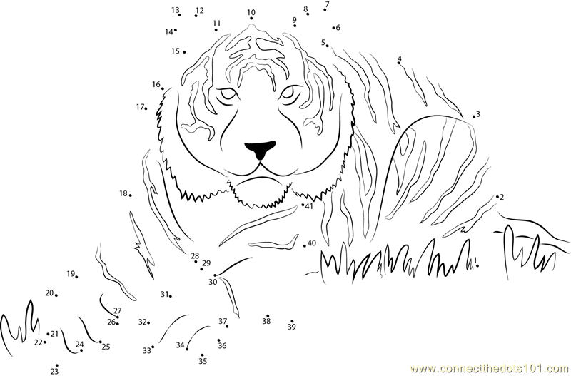 Eye of the tiger dot to dot printable worksheet