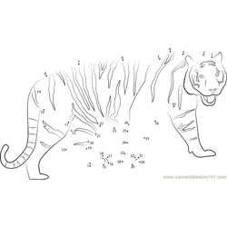 Tiger connect the dots worksheets printable for kids