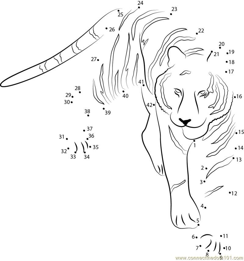 Tiger at see dot to dot printable worksheet