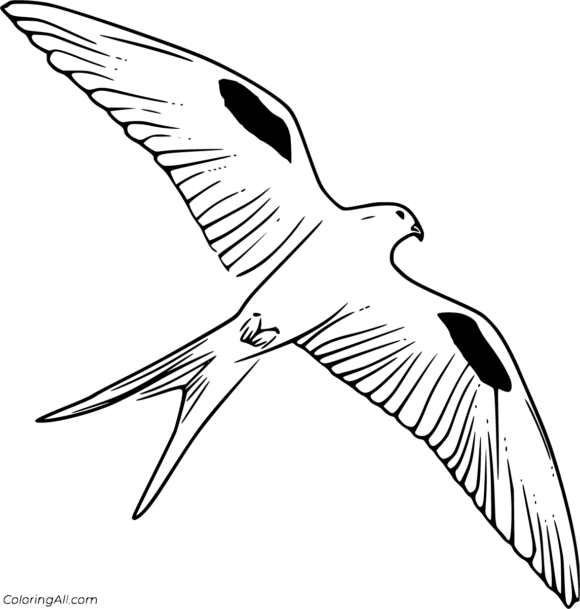 Free printable kite bird coloring pages in vector format easy to print from any device and automaâ avengers coloring pages coloring pages bird coloring pages