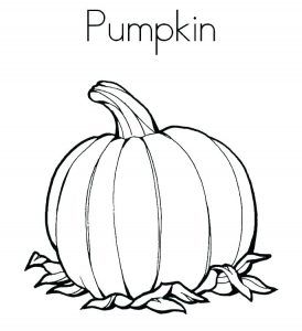 Cautai planse cu dovleac de colorat aici gasesti fise de colorat simple pentru oricine copii sau adulti cu dovleci de hâ tulip drawing coloring pages pumpkin