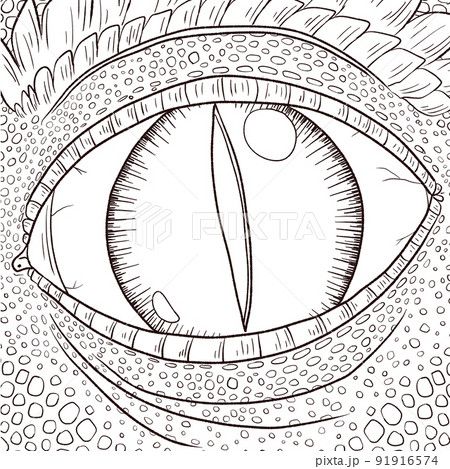 Black and white coloring page ink illustration