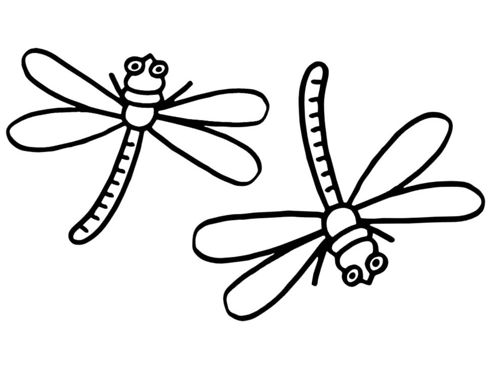 Dragonfly coloring pages printable for free download