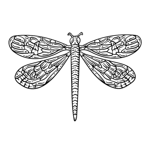 Premium vector dragonfly spring coloring page for adults