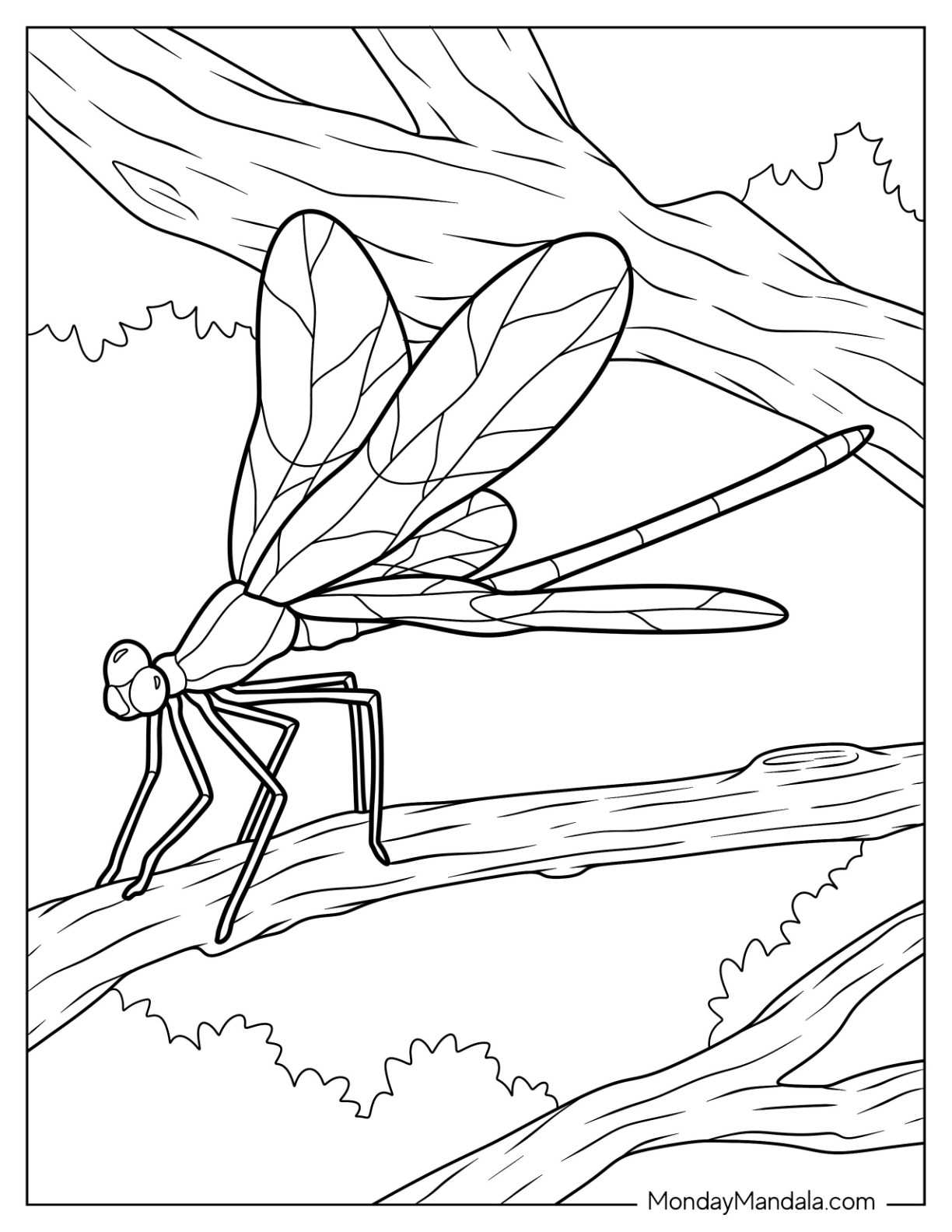 Dragonfly coloring pages free pdf printables