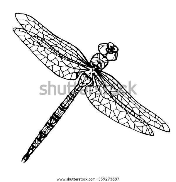 Hand drawn dragonfly coloring page stock vector royalty free