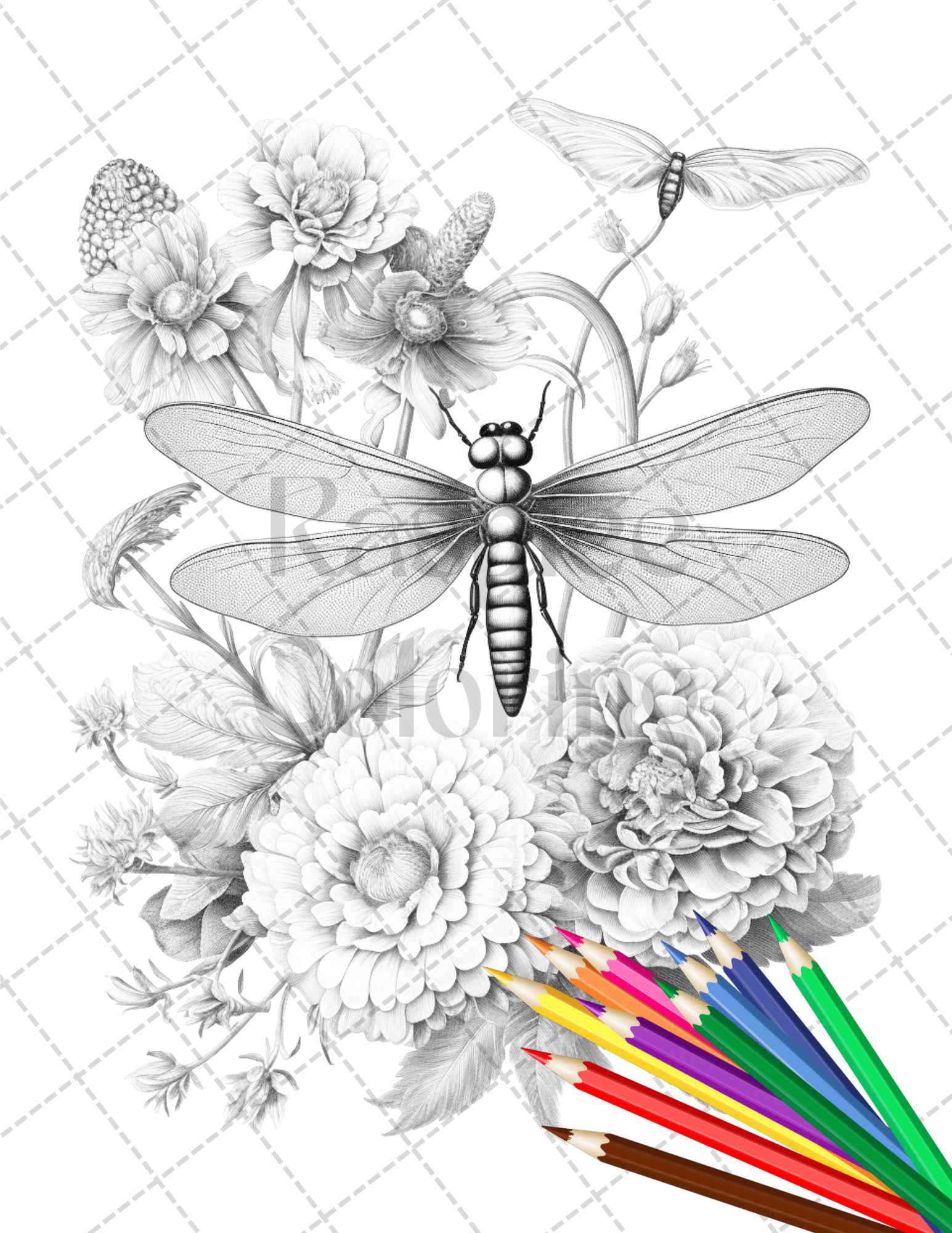Vintage botanical dragonfly grayscale coloring pages printable for adu â coloring