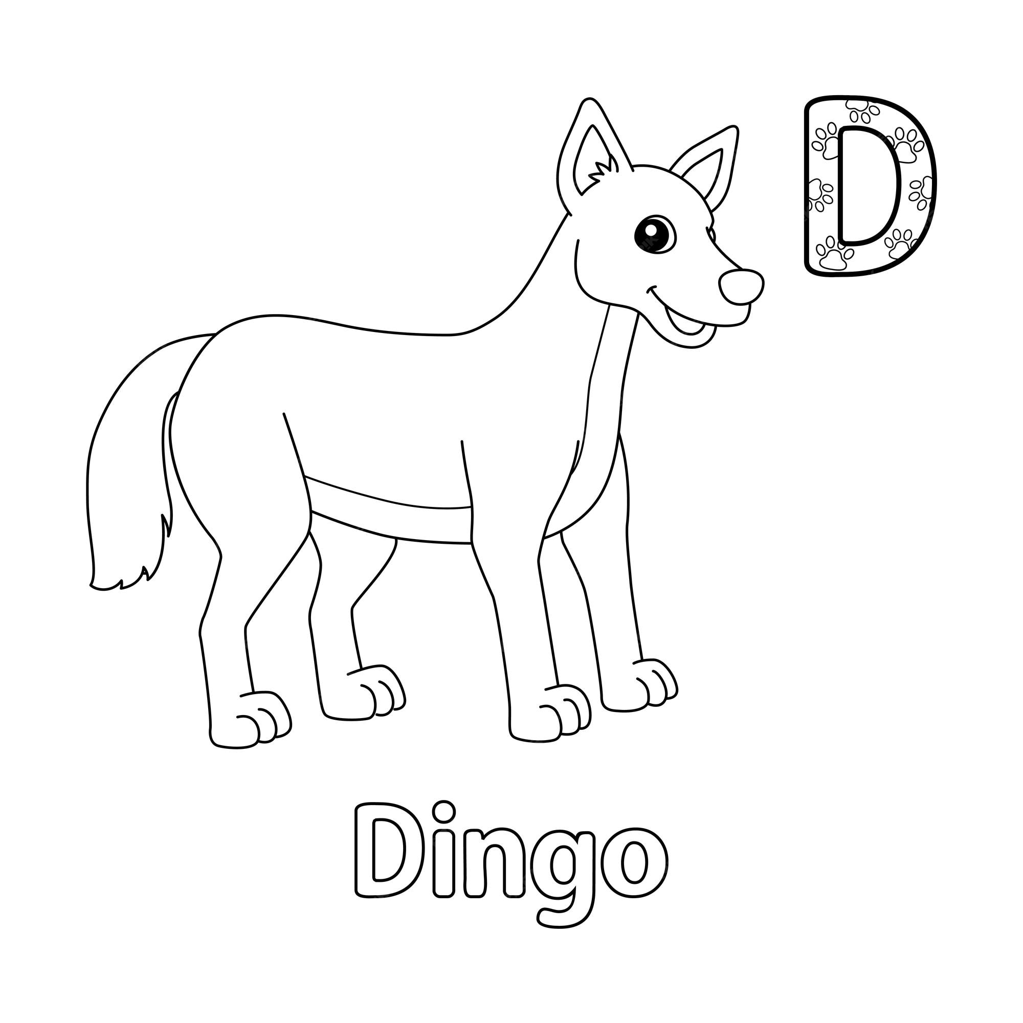 Premium vector dingo alphabet abc coloring page d