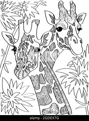 Two giraffe head looking at both sides with tall trees colorless line drawing giraffa heads long neck with leaves background coloring book page stock vector image art