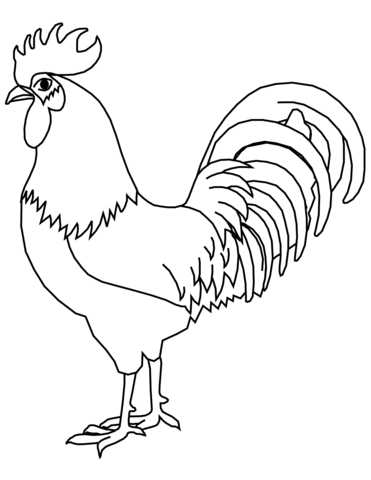 Rooster coloring page free printable coloring pages
