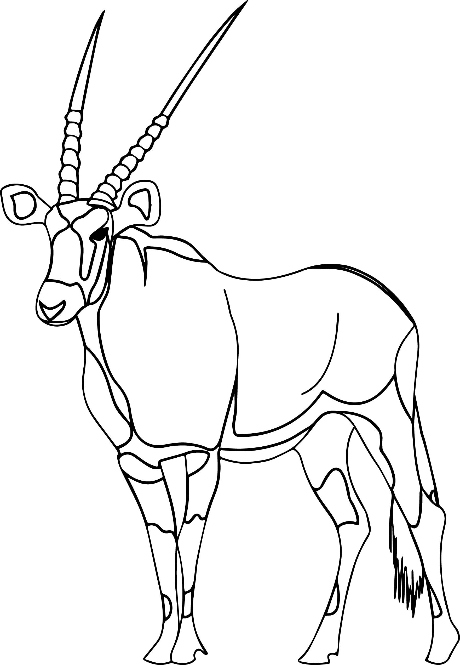 Nice walking antelope coloring page boyama sayfalarä ãizim