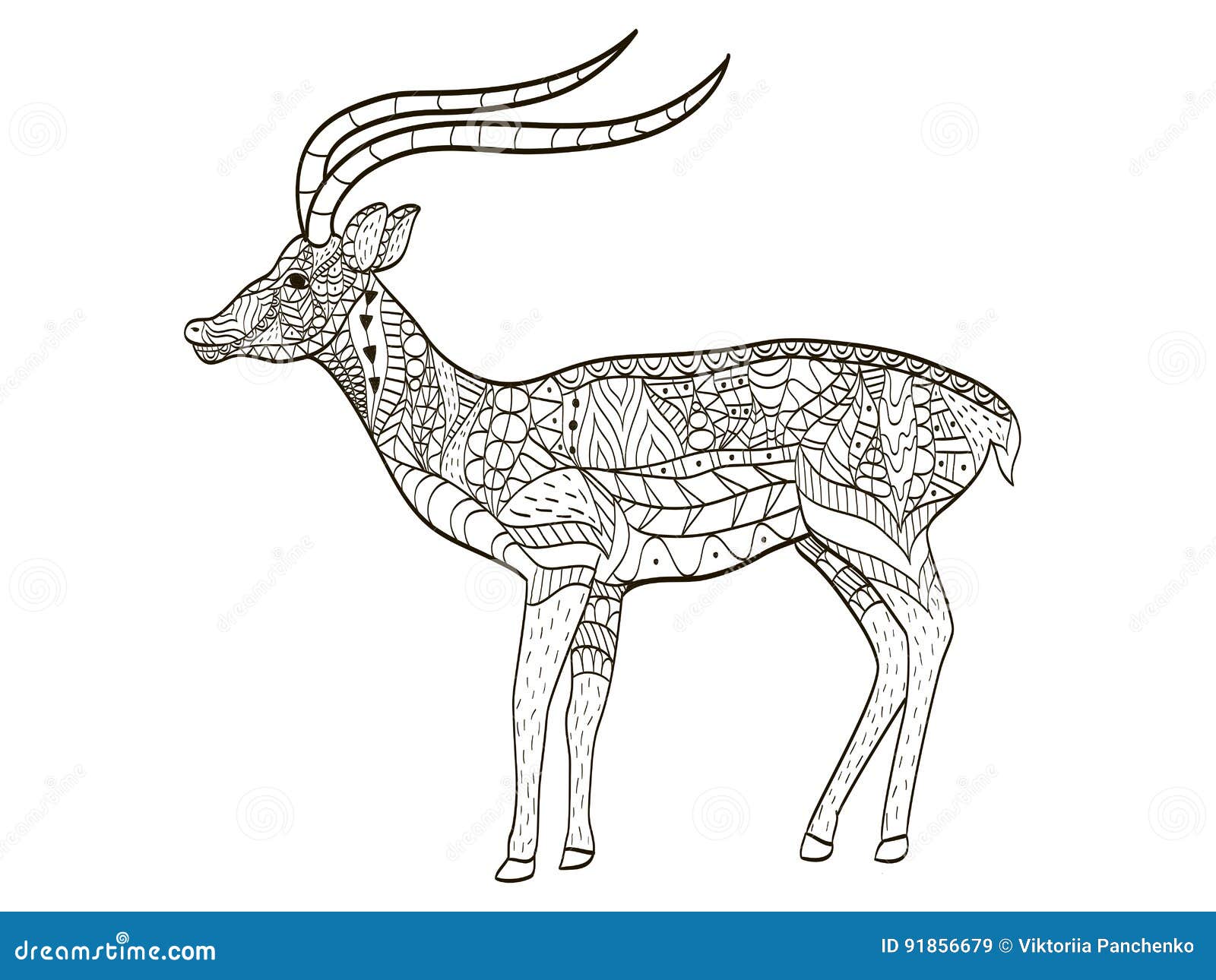 Antelope coloring stock illustrations â antelope coloring stock illustrations vectors clipart