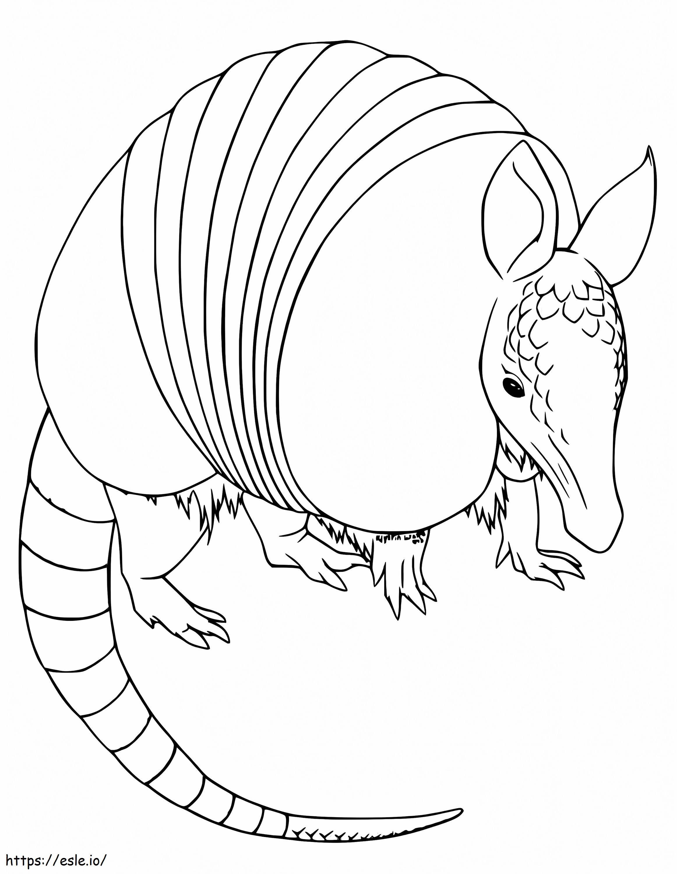 Armadillo simple coloring page