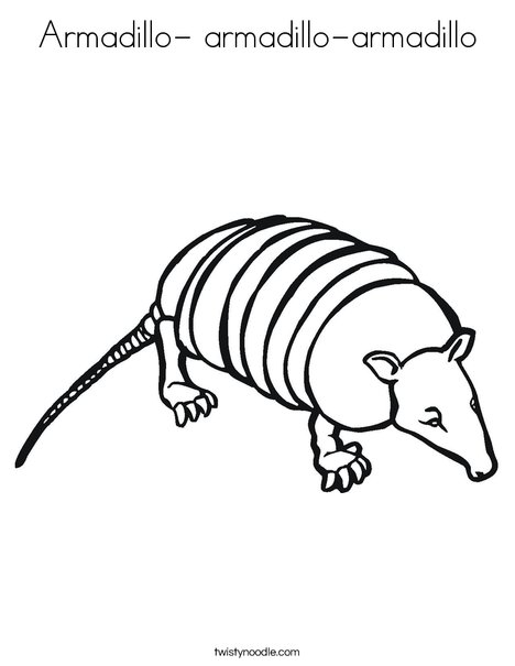 Armadillo