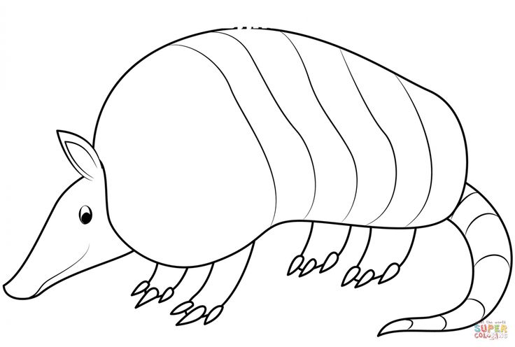 Armadillo coloring page coloring pages free printable coloring pages free printable coloring