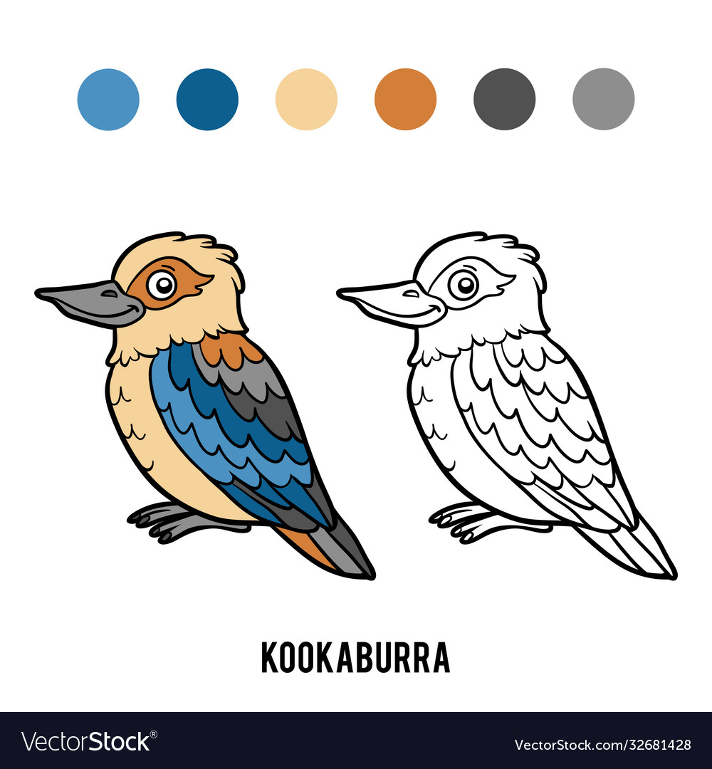 Coloring book kookaburra royalty free vector image