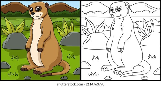 Meerkat color images stock photos d objects vectors