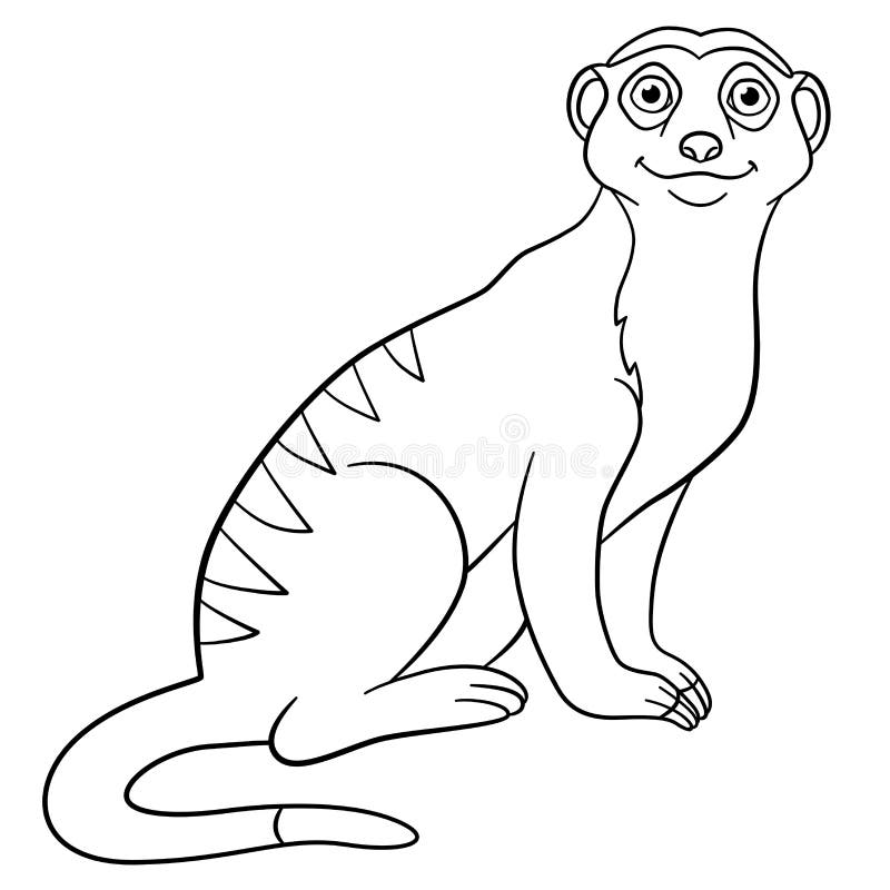 Meerkat coloring stock illustrations â meerkat coloring stock illustrations vectors clipart