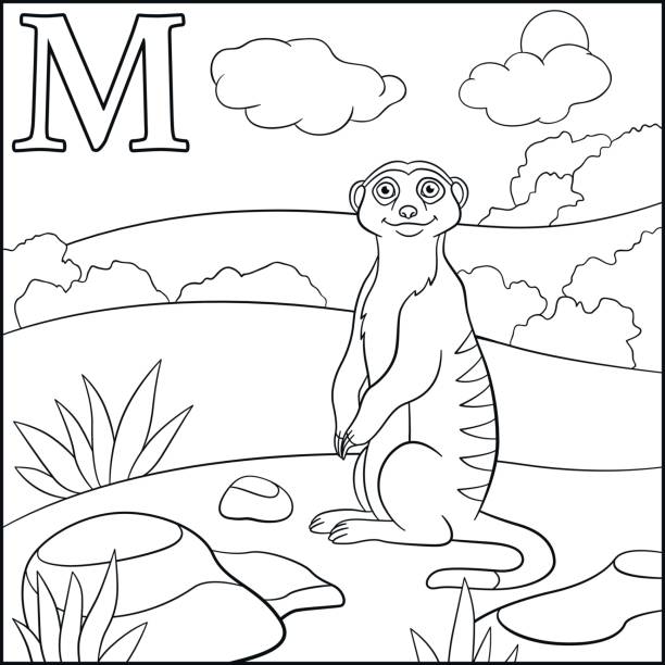 Coloring page cartoon animals alphabet m is for meerkat stock illustration