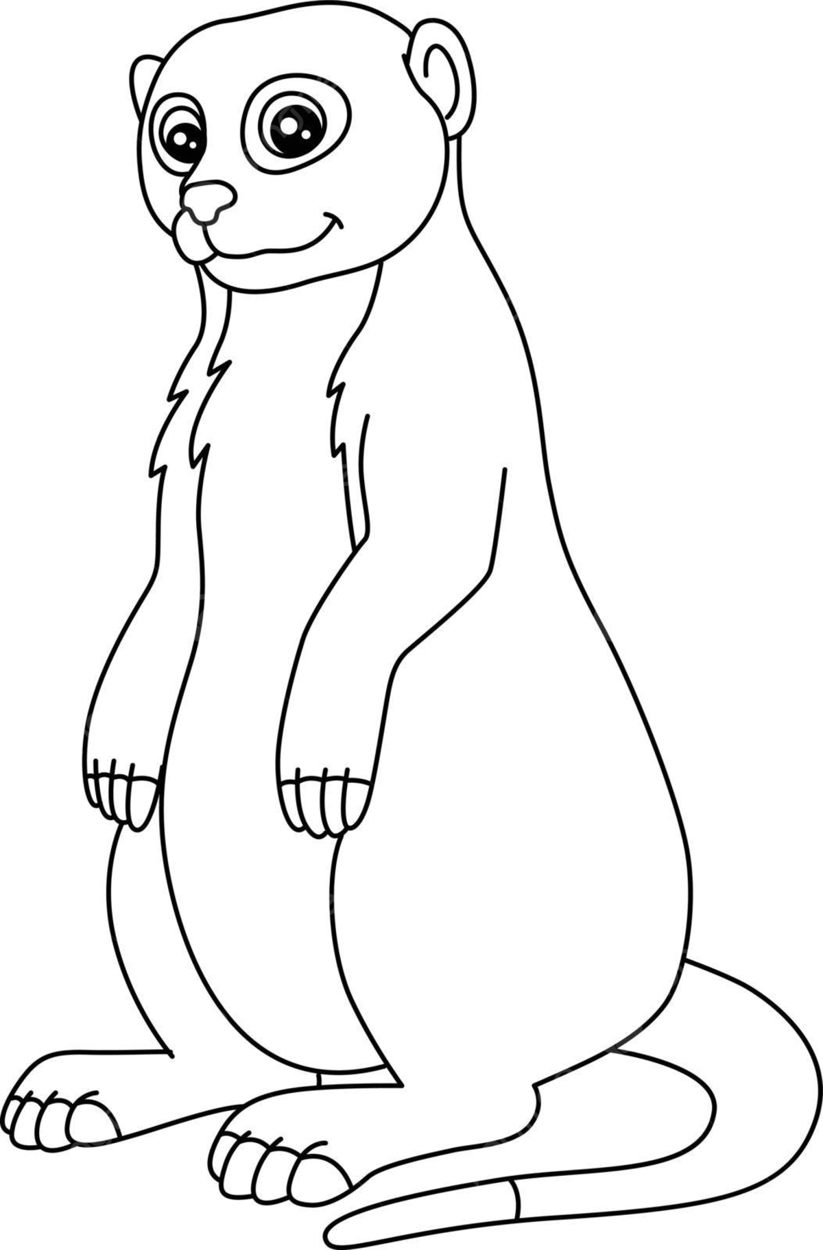 Meerkat coloring page isolated for kids character preschool coloring book vector character preschool coloring book png and vector with transparent background for free download