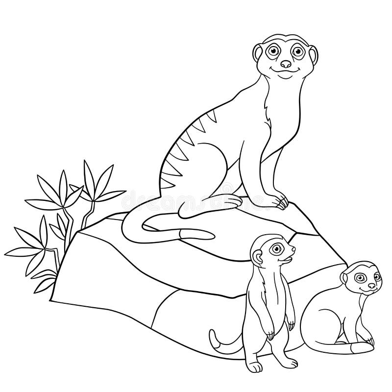 Meerkat coloring stock illustrations â meerkat coloring stock illustrations vectors clipart