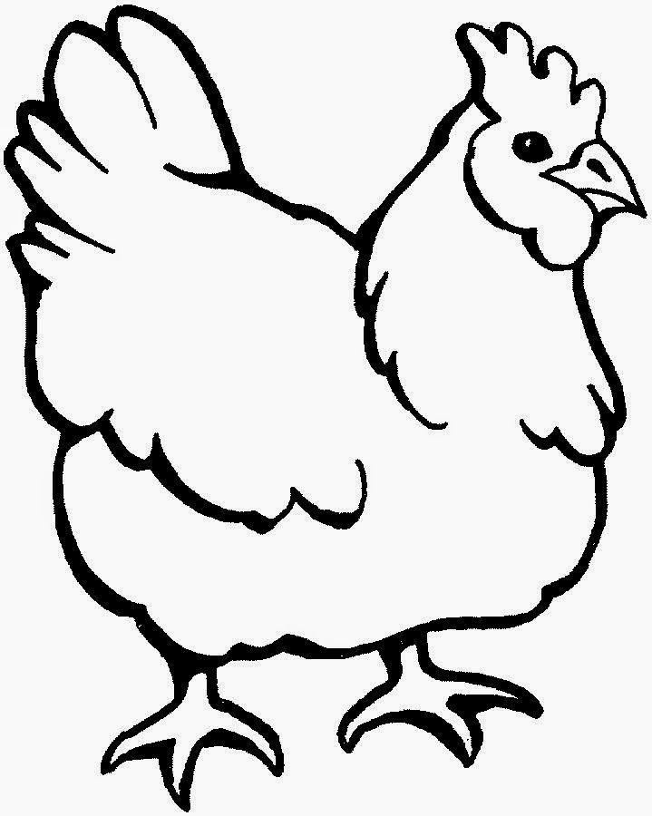 Cute and beautiful hens colour drawing hd wallpaper dibujos de colores hojas para colorear dibujos para colorear adultos