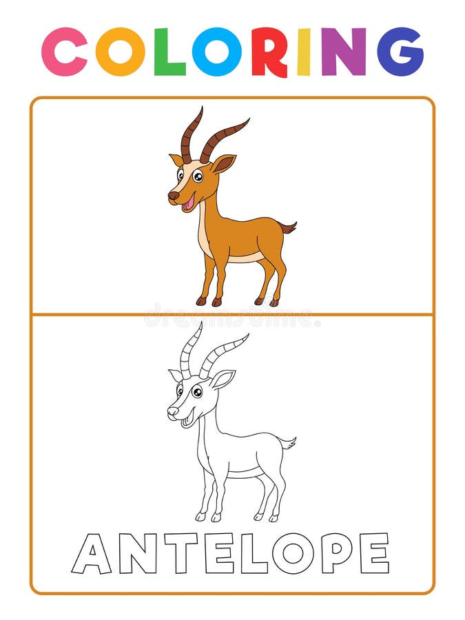 Antelope coloring stock illustrations â antelope coloring stock illustrations vectors clipart