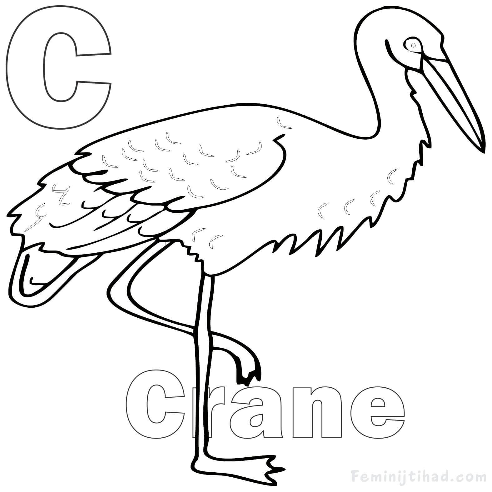 Letter c for crane coloring pages pdf