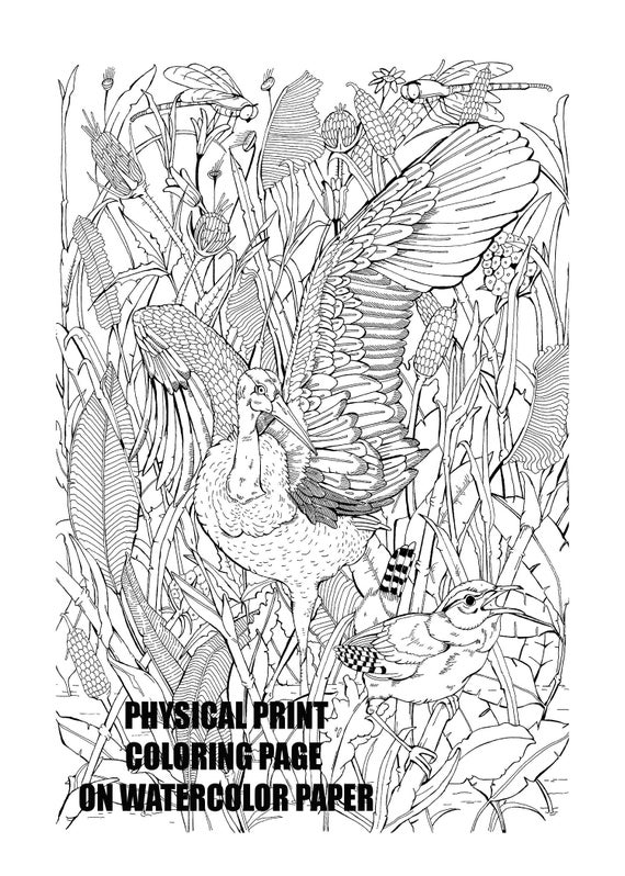 Crane bird coloring page physical print on watercolor paper adult coloring page watercolor diy artwork crane bird coloring page