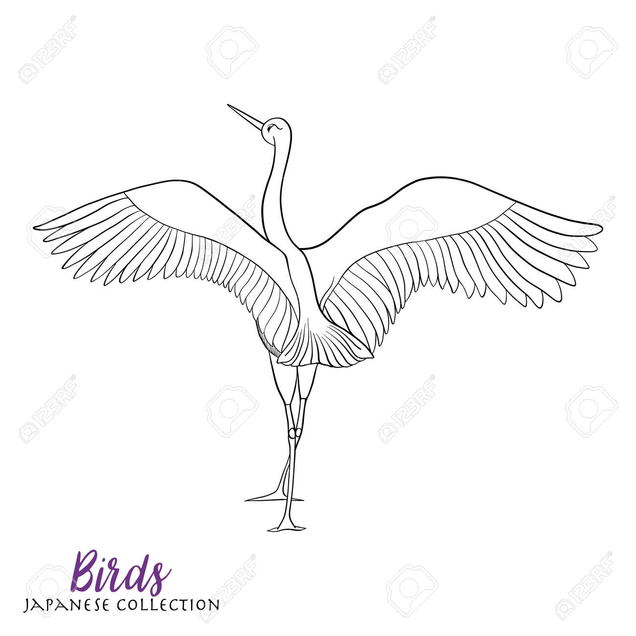 Japanese crane coloring book for adult outline drawing coloring page stock line vector illustration royalty free svg cliparts vectors and stock illustration image