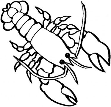 Lobster ocean coloring pages coloring pages lobster drawing