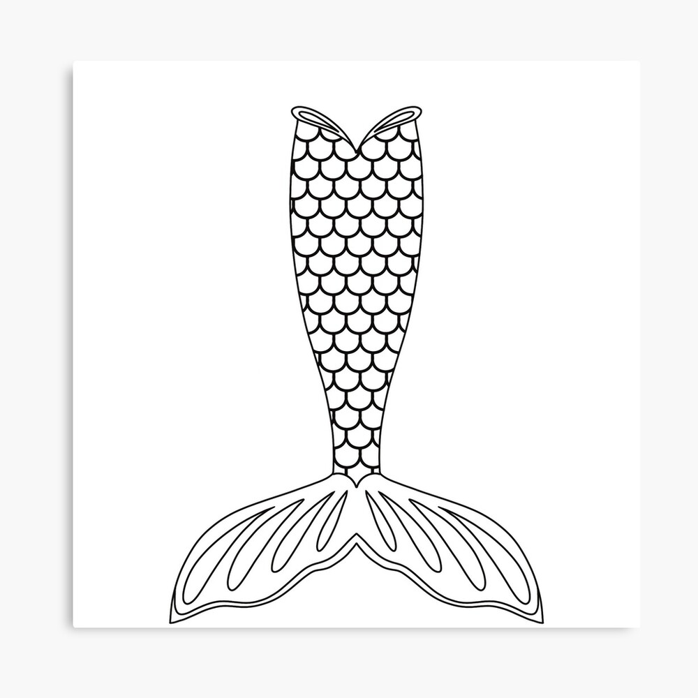 Cute mermaid tail outline with fish scales canvas print for sale by opaldeer