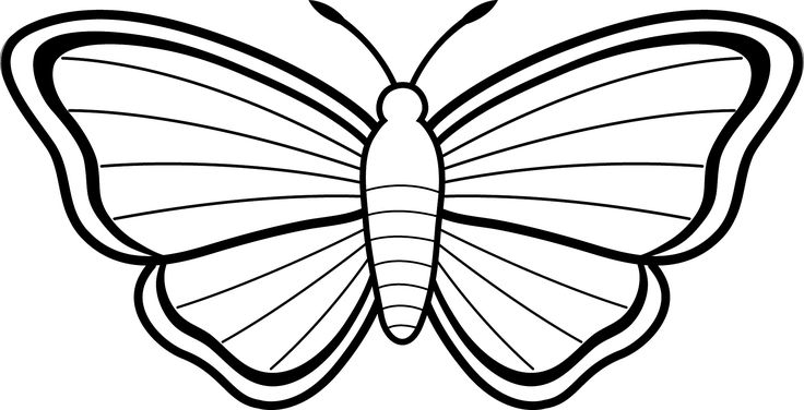 Free printable butterfly coloring pages for kids butterfly coloring page butterfly drawing free coloring pages
