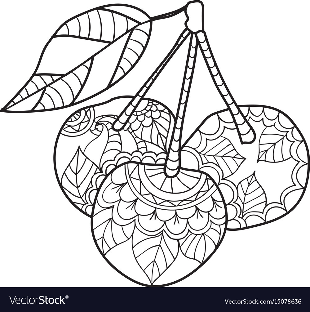 Coloring pages for adults cherry sketch fruits vector image