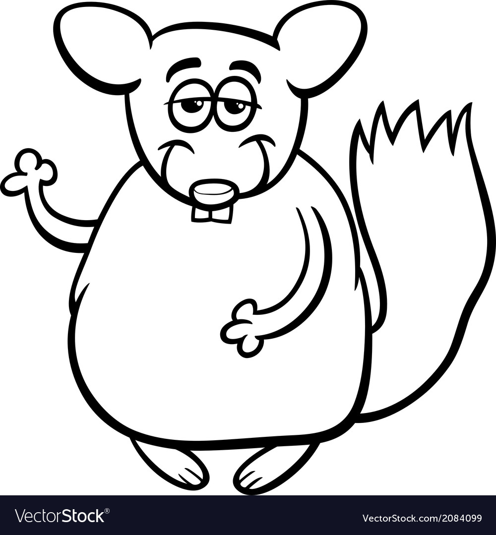 Chinchilla cartoon coloring page royalty free vector image