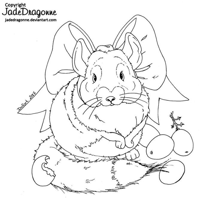 Chinchilla and grapes