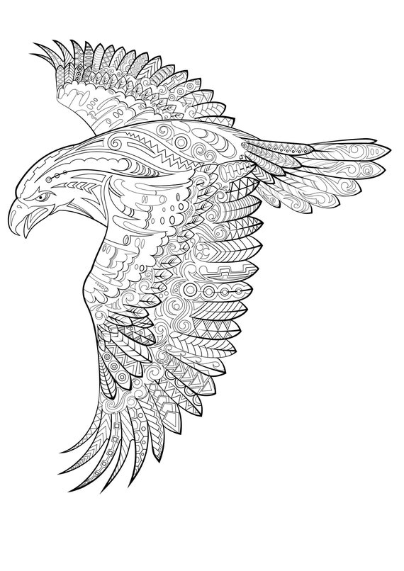 Golden eagle colouring sheet download