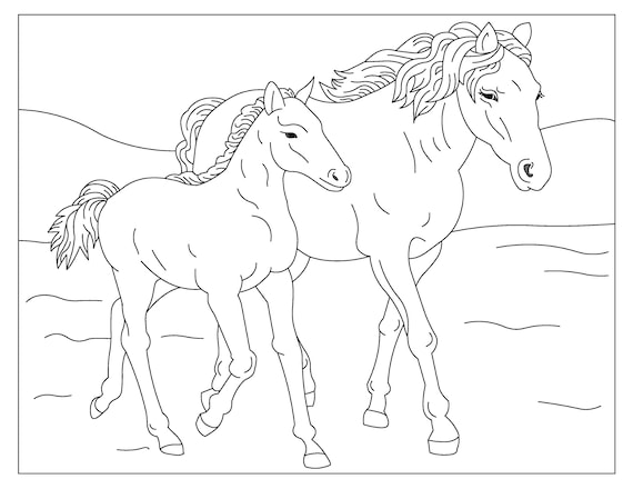 Wild horses printable coloring pages horse coloring book instant download pdf
