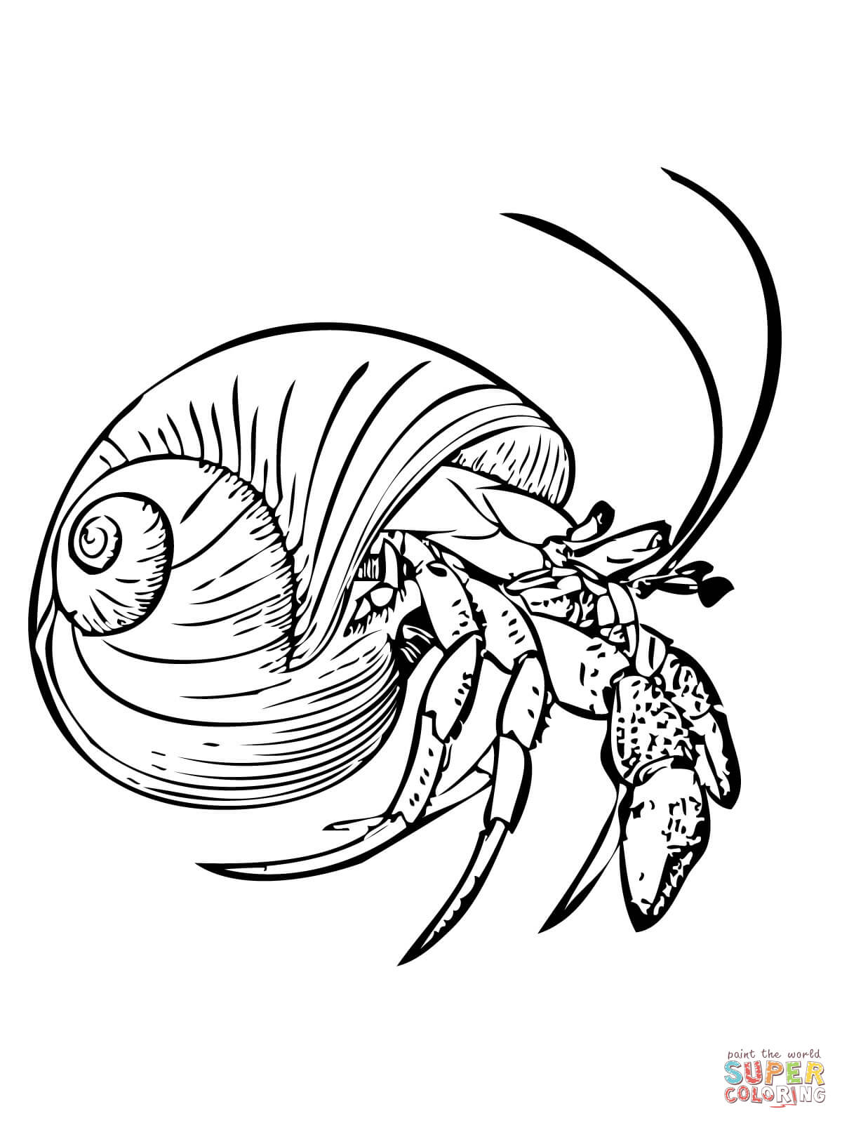 Mon hermit crab or soldier crab coloring page free printable coloring pages