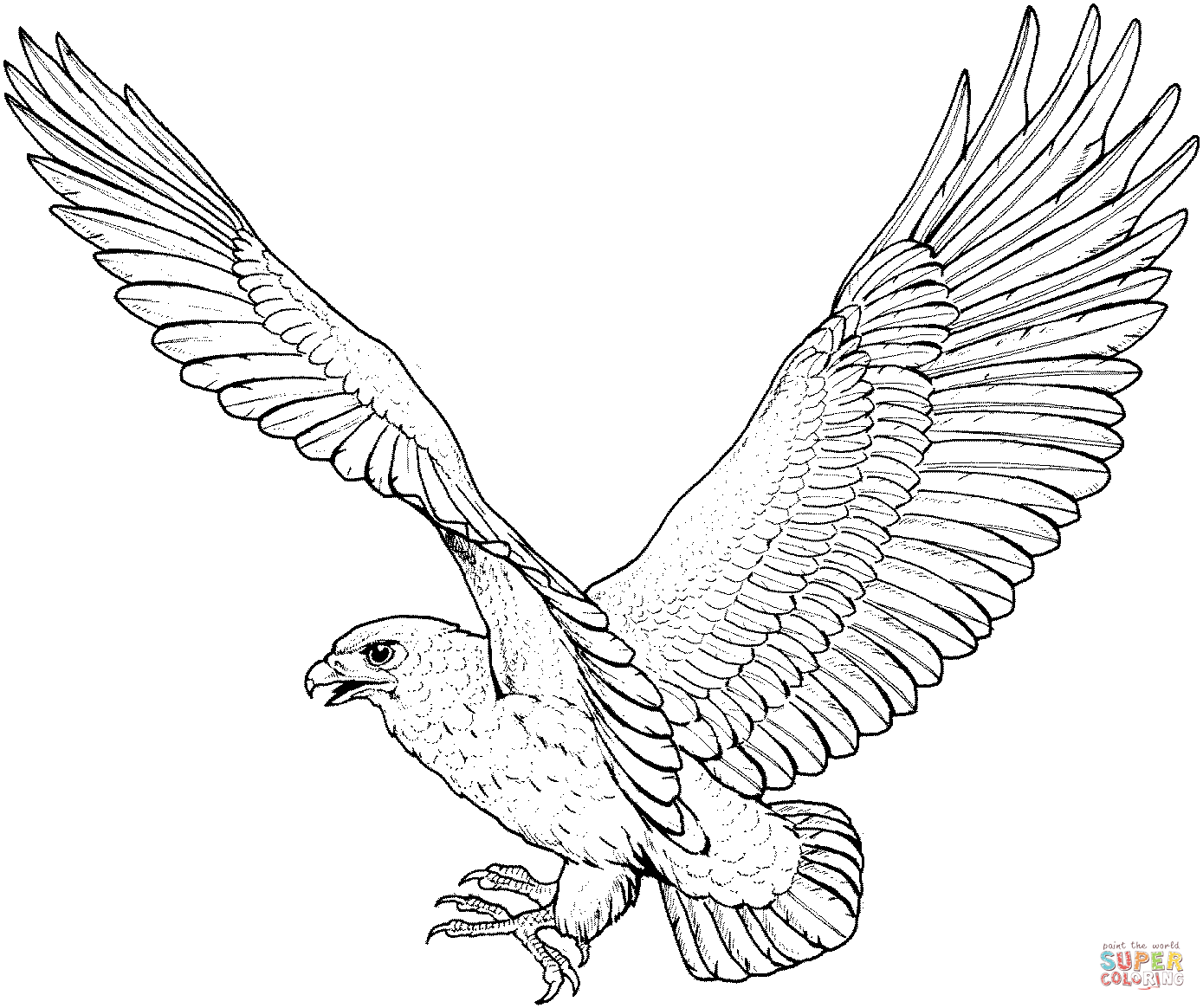 Hawk coloring page free printable coloring pages