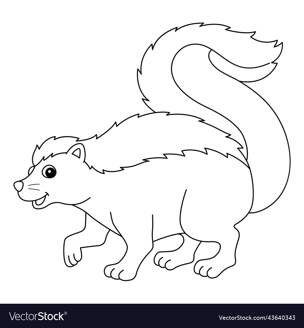 Skunk animal isolated coloring page for kids vector image
