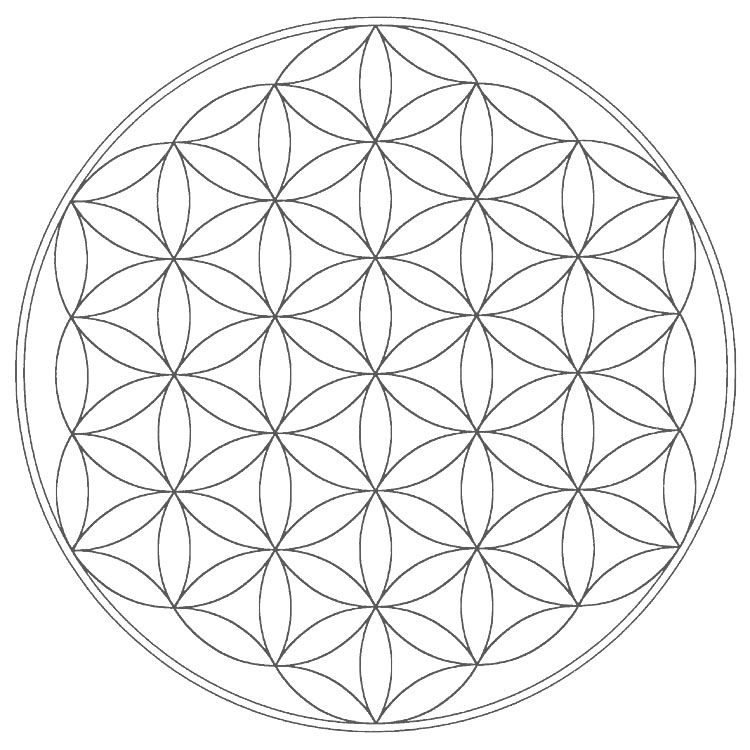 The flower of life geometric coloring pages flower of life sacred geometry