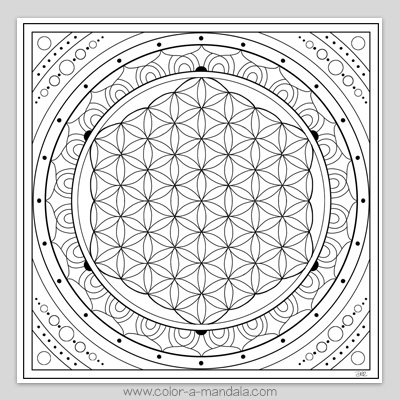 Sacred geometry flower of life coloring page m
